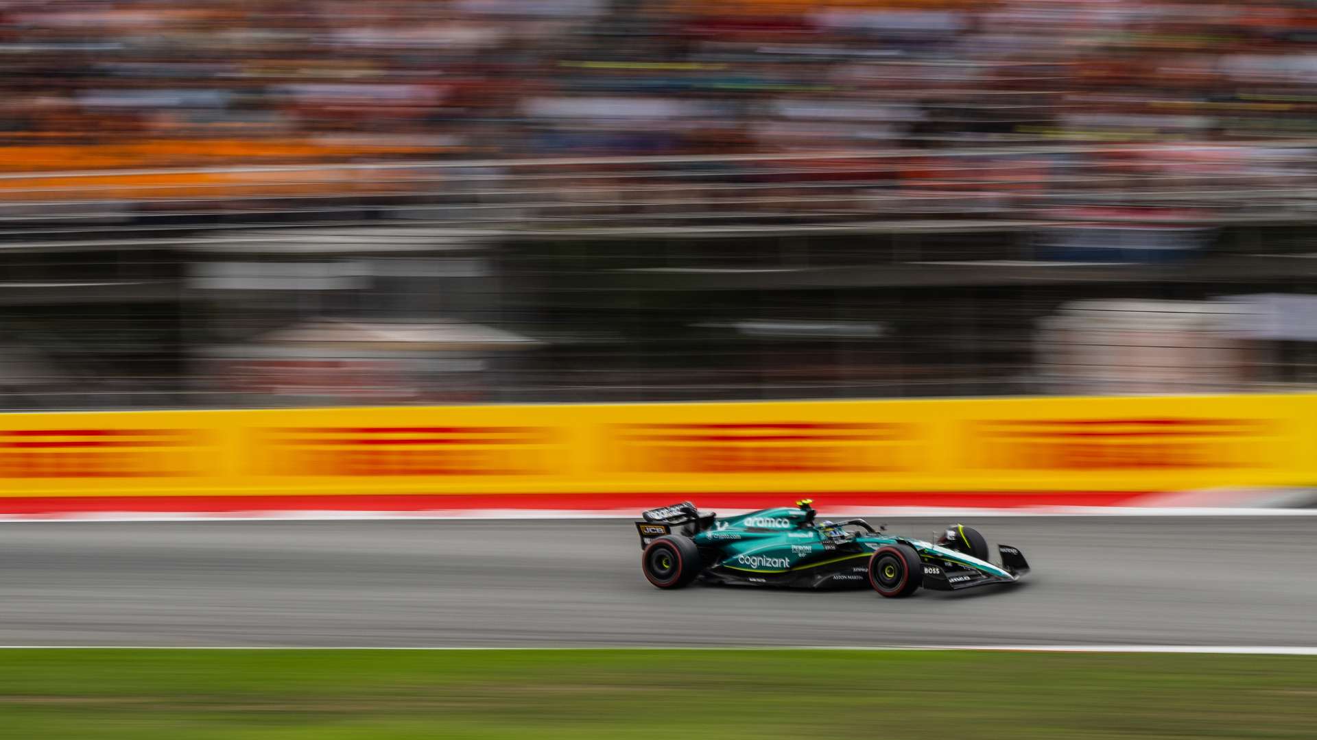 了自己的技 了自己的技