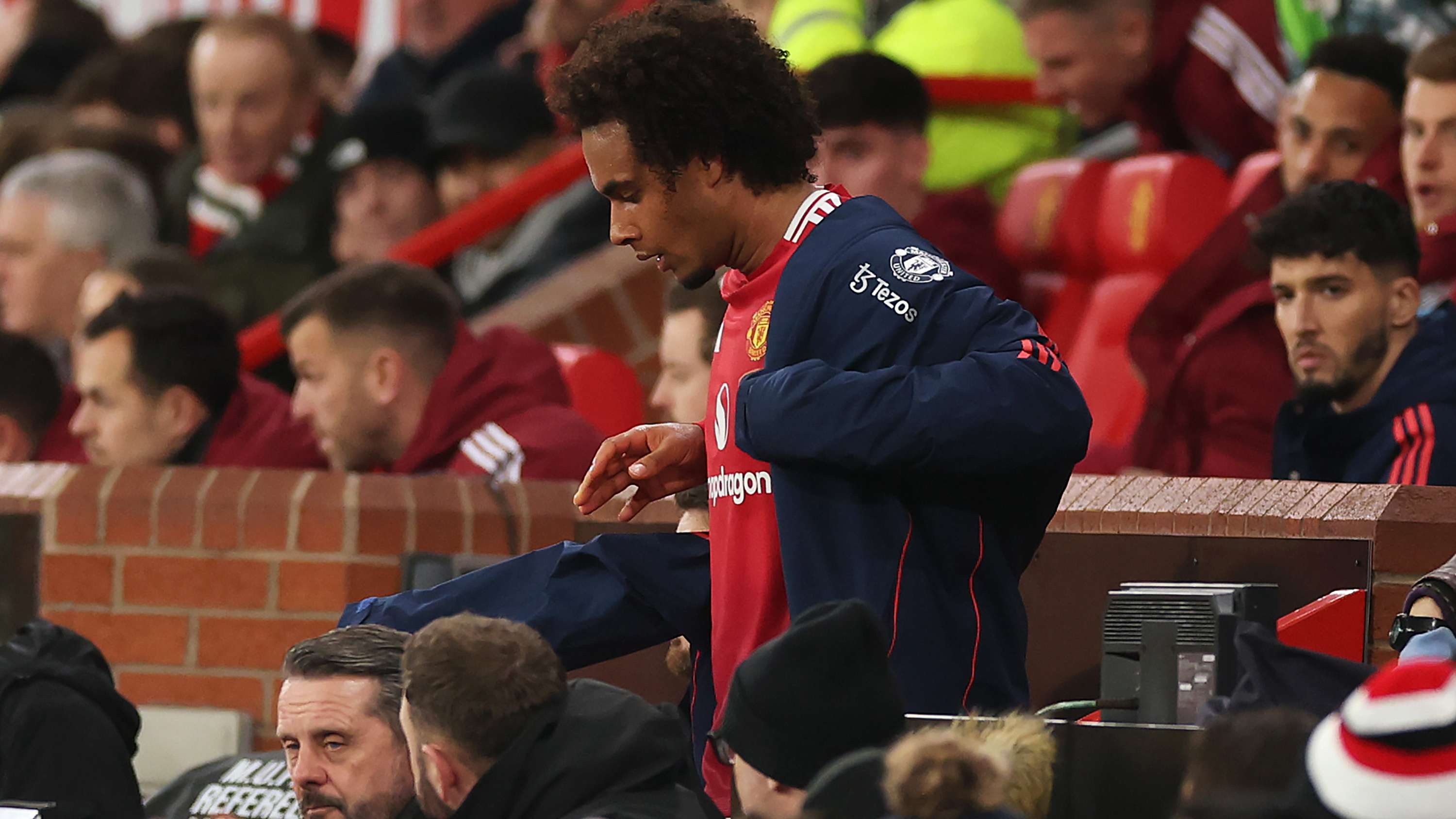 或许能找到 或许能找到